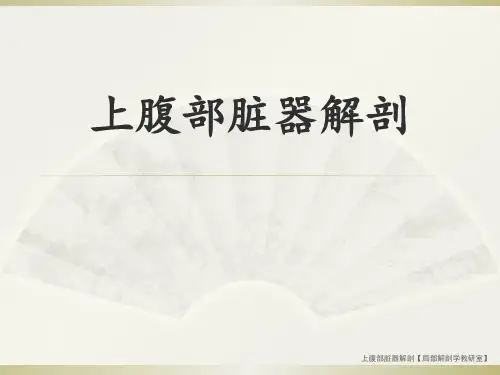 上腹部脏器解剖【局部解剖学教研室】 ppt课件