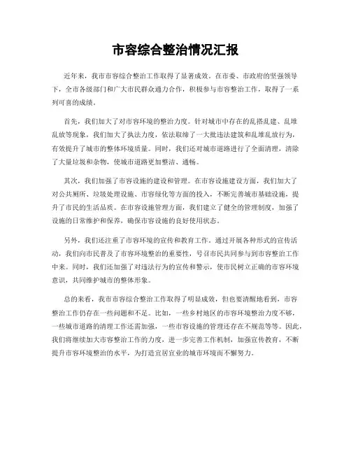 市容综合整治情况汇报