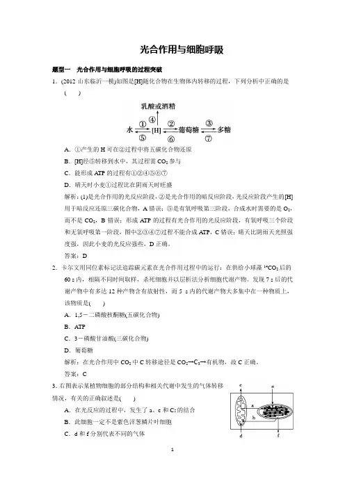 二轮复习-光合作用与细胞呼吸答案及解析