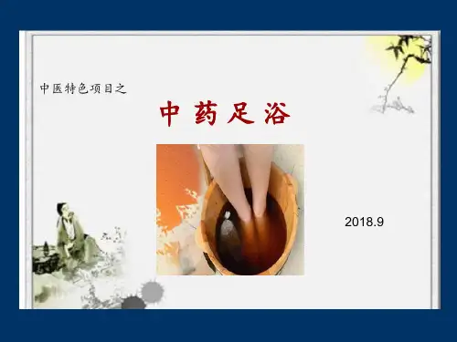 中药足浴2 ppt课件