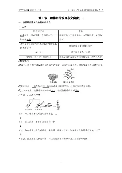 生物总结笔记-孟德尔的豌豆杂交实验