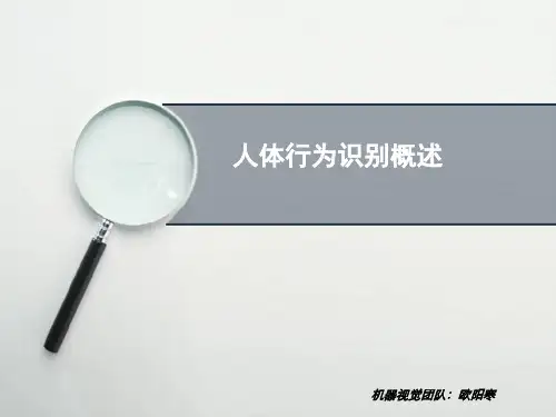人体行为识别概述PPT课件
