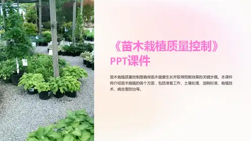 《苗木栽植质量控制》课件
