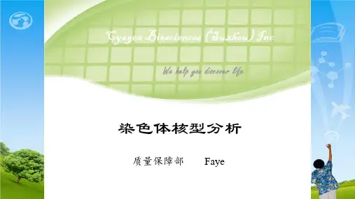 染色体核型分析讲课ppt课件