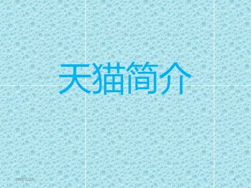 天猫简介.PPT课件