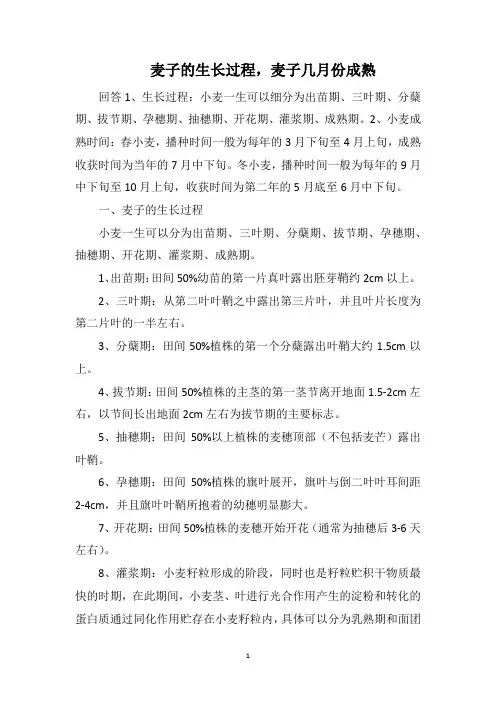 麦子的生长过程,麦子几月份成熟