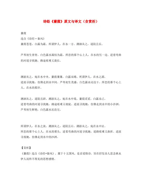 初中语文 文言文 诗经《蒹葭》原文与译文(含赏析)