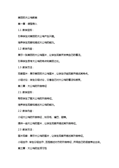 美丽的大公鸡教案
