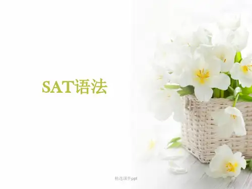SAT基础知识ppt课件