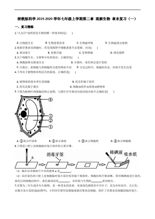 浙教版科学2019-2020学年七年级上学期第二章 观察生物 章末复习(含答案)