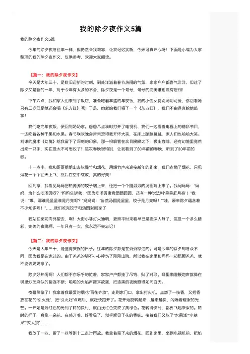我的除夕夜作文5篇