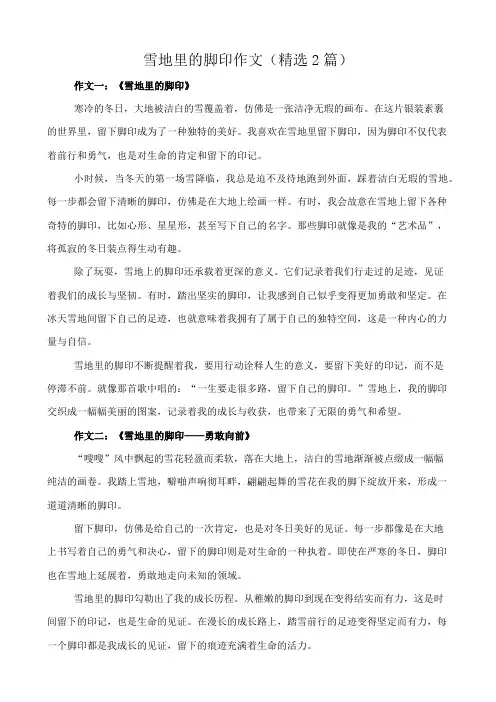 雪地里的脚印 作文(精选2篇)