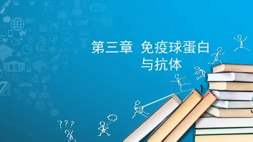 三免疫球蛋白与抗体【40页】