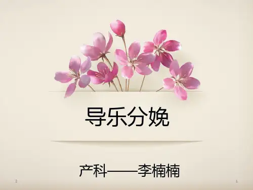 导乐分娩(课堂PPT)