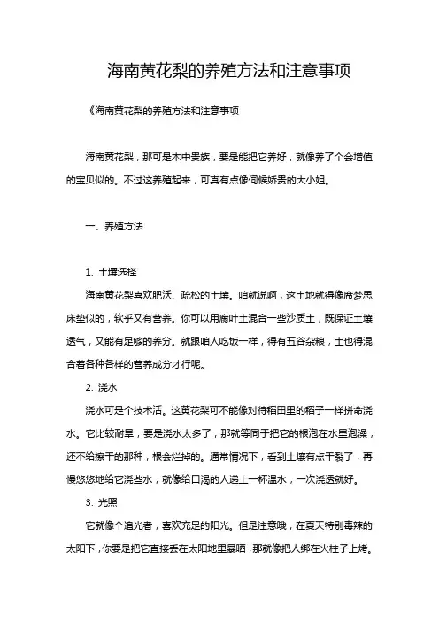 海南黄花梨的养殖方法和注意事项