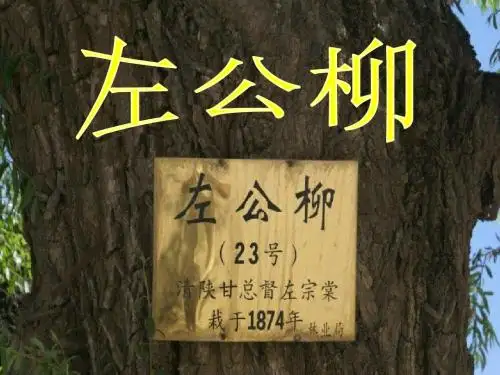 五年级语文下册第5单元22《左公柳》 精品优选PPY课件2语文S版