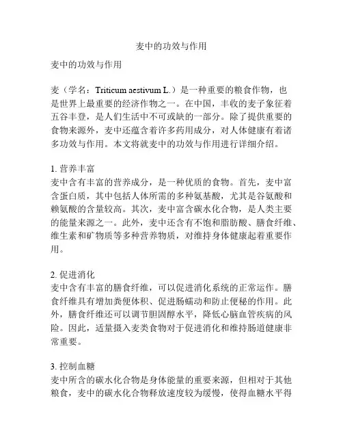 麦中的功效与作用