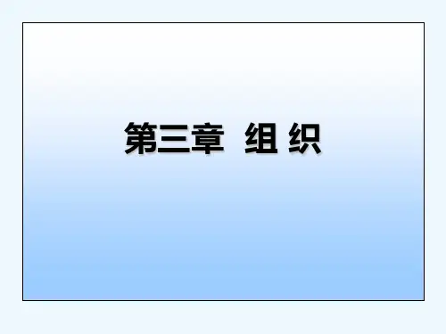 管理学教程_组织