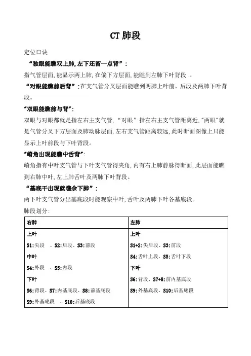 肺段划分