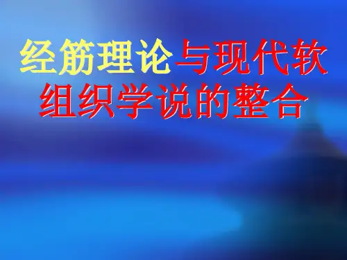 经筋与现代软组织学说的整合