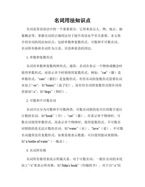 名词用法知识点