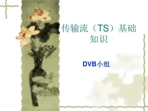 TS流简介