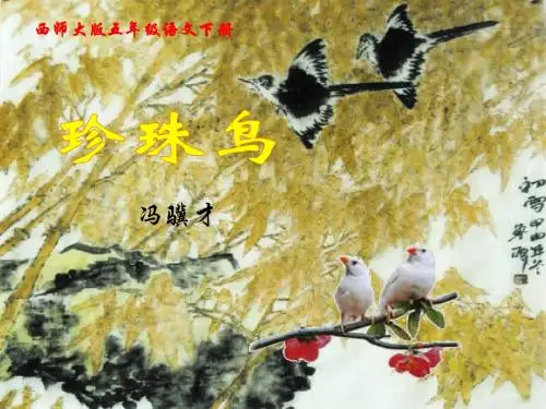16_珍珠鸟课件
