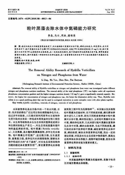 轮叶黑藻去除水体中氮磷能力研究