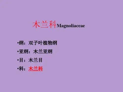 木兰科12-24