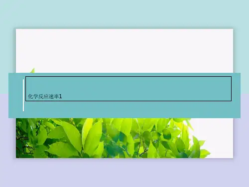 化学反应速率1