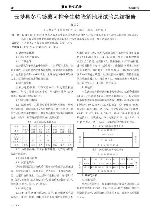 云梦县冬马铃薯可控全生物降解地膜试验总结报告