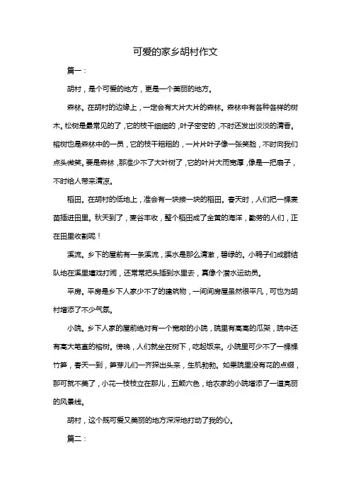 可爱的家乡胡村作文