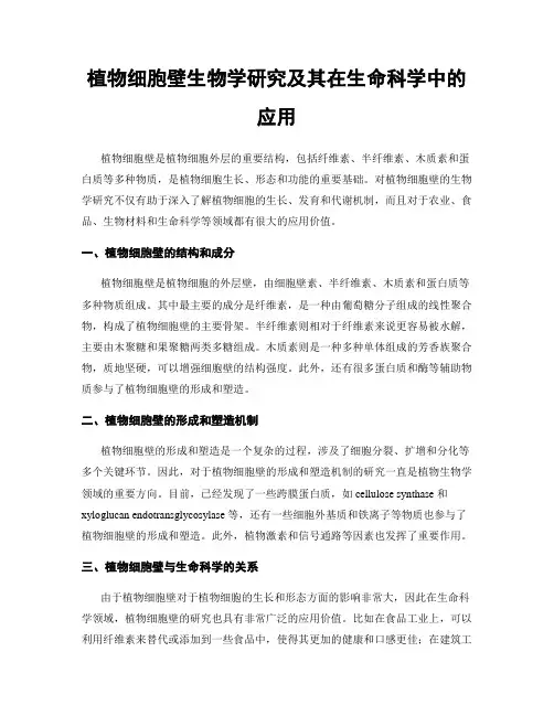 植物细胞壁生物学研究及其在生命科学中的应用