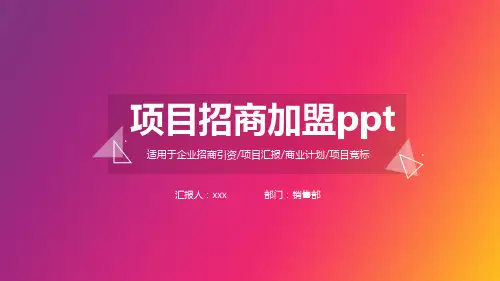 大学生创新创业项目PPT