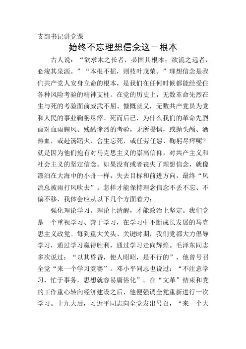 支部书记讲党课
