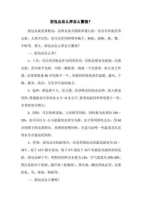 面包虫怎么养怎么繁殖？