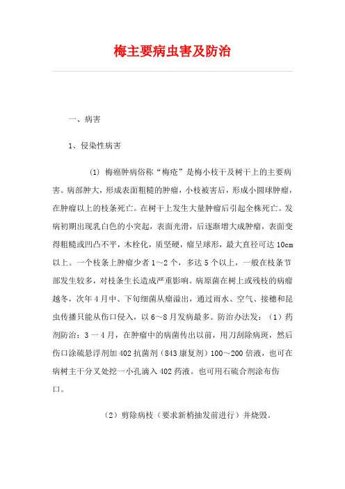 杨梅主要病虫害及防治
