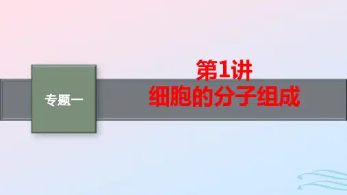 适用于老高考旧教材高考生物二轮总复习专题1细胞的分子组成和结构第1讲细胞的分子组成pptx课件