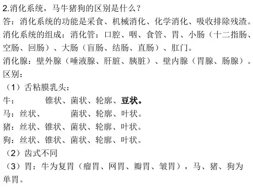 家畜解剖学大题期末复习