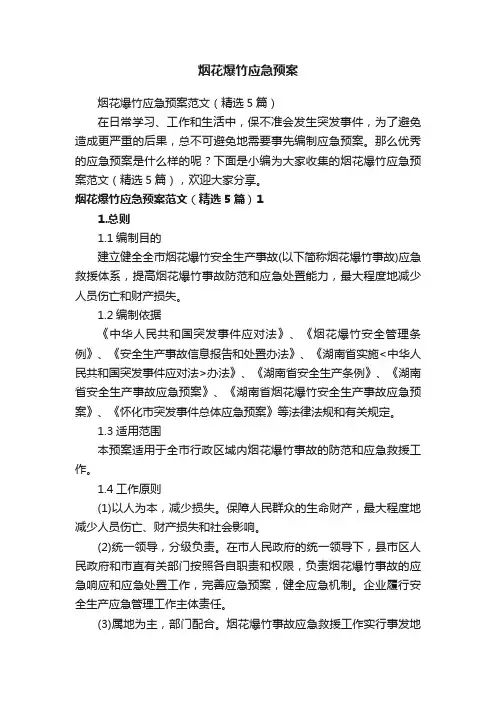 烟花爆竹应急预案范文（精选5篇）