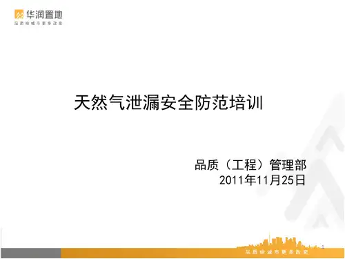 天然气泄漏安全防范培训PPT课件