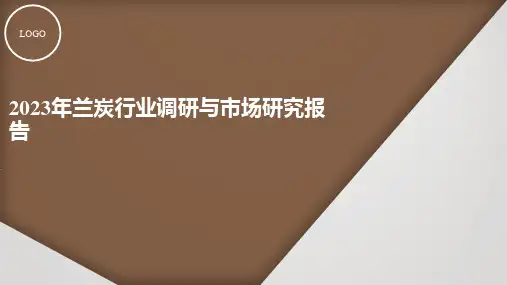 兰炭行业调研与市场研究报告2023年