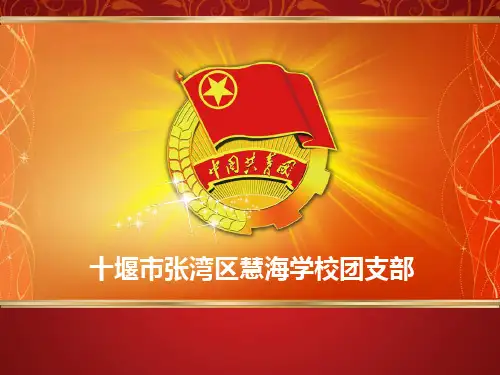 学校团课课件(实用资料)ppt