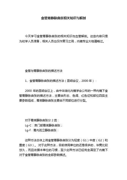 食管胃静脉曲张相关知识与解剖