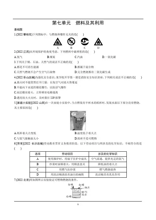 2023中考化学一轮复习习题精选：第七单元 燃料及其利用(精练题)