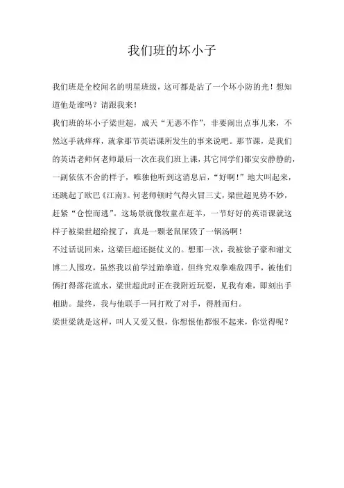 四年级写人我们班的坏小子