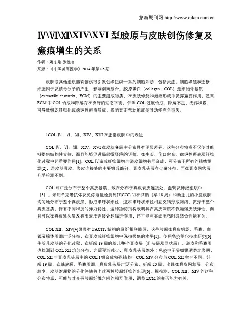 ⅣⅥⅫXIVXVI型胶原与皮肤创伤修复及瘢痕增生的关系