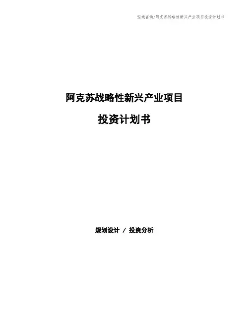 阿克苏战略性新兴产业项目投资计划书