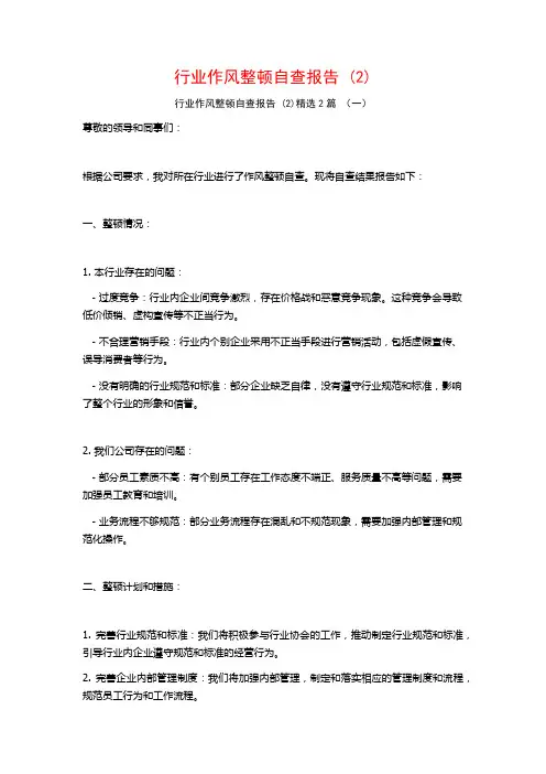 行业作风整顿自查报告 (2)2篇
