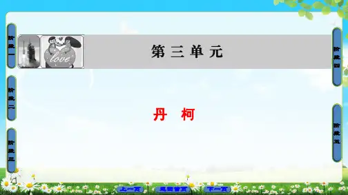外国小说欣赏-05丹 柯PPT39张